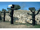 Three possible shapes of cross used for Roman punishment of criminals